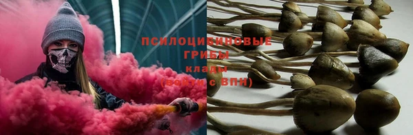 MESCALINE Инсар