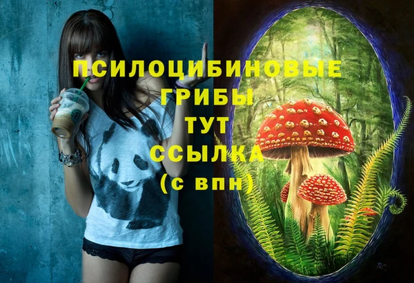 кокаин Инта
